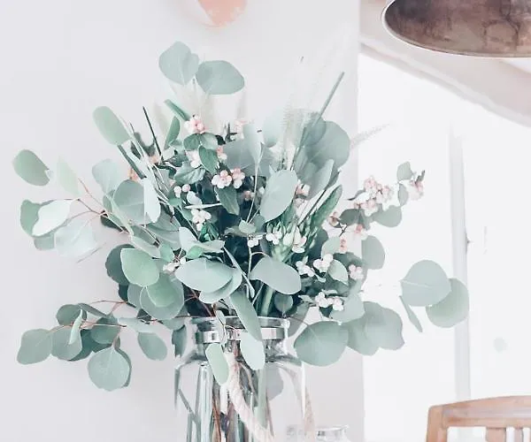 Dietrich Apartemendid * Haapsalu